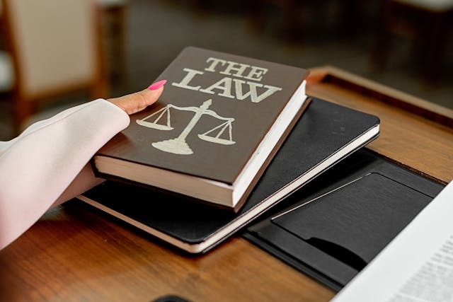 A Person Holding a The Law Book